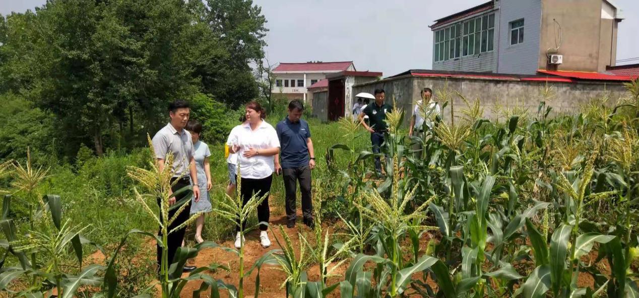 微信图片_20210629211759 微信图片_20210629211759